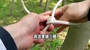 露营必会的营钉结，平时用来打晾衣绳都非常不错