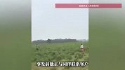 行政拘留！男子拍视频造谣千亩辣椒随便摘，毁了200余亩辣椒地