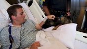 训犬员受伤了，警犬被带去医院看望他，网友：跟想象的不一样