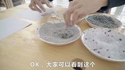 喵呜记 第5集：资深铲屎官教你选猫砂
