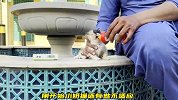 偶遇一只迷路的小奶猫，却将自己当成了妈妈，小家伙实在太可爱了