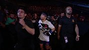 UFC-17年-UFC216前瞻：雷博格精彩对战集锦-专题