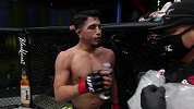 UFC on ESPN21主赛：亚内兹VS古斯塔沃-洛佩兹