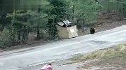 旅游-救助被困在垃圾桶内的三只小熊