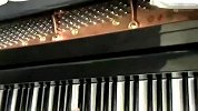酷毙了！牛人钢琴版神曲《忐忑》