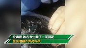 41岁女子考科目一戴假发头冒蓝光 里面竟藏作弊高科技