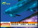 新闻夜总汇-20120305-看电影坐哪儿最舒服 网友总结“至尊位”抢占攻略