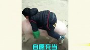 猪是一种神奇的动物，他们的迷惑行为，我看不懂
