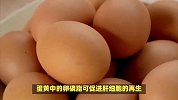 “热水冲蛋加香油”对身体有何益处？来听听消化科主任的解读