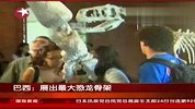 巴西展出6500万年前最大恐龙骨架复制品