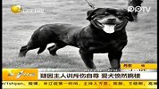 疑因主人训斥伤自尊 爱犬愤然跳楼