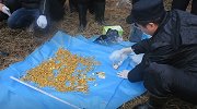获刑13年！男子除夕夜盗走21斤黄金埋坑 骑车从陕西逃到河南