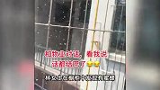 上万蜜蜂涌进30层住户家筑巢，现场嗡嗡响！住户：不蜇人就留着