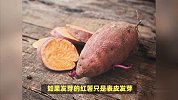 发芽的红薯能吃吗？解密这个常见疑问！