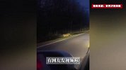 男子路遇东北虎对视10秒，自报家门“求饶”：我本地的