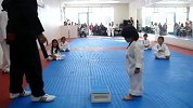 格斗-15年-太萌蠢了!熊孩子跆拳道白带考试踩木板萌翻了-专题