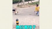 上街遛狗的奇葩方式，碰到你们这主人，狗狗也太难了
