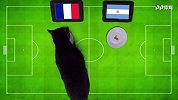 黑猫会更准？法阿大战预测 黑喵选法国