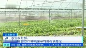 农业农村部：重点监测的28种蔬菜平均价格较稳定