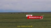 越野车碾轧景区草场逃窜，牧民怒斥“草场心血全毁了”！警方回应