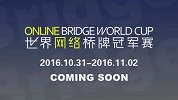 棋牌-16年-世界网络桥牌冠军赛 CCBA队vs欧洲队-全场