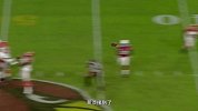 NFL-1516赛季-亚利桑那红雀常规赛之旅总结-专题
