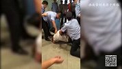 中超-15赛季-中超赛前现冲突 鲁能女球迷遭保安抱摔-新闻