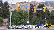 天上竟然会掉粪便，加拿大小镇遭遇“便便雨”！