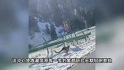 网友怒斥！为拍照高速追逐雪豹，野生动物救护中心回应