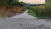 常走的一条土路宽1.5米，政府硬化后只有0.8米？官方回应