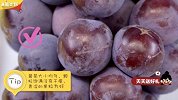 教你3招挑出甜葡萄【夹脑计划】