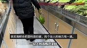 大妈选购芹菜时不停甩水，被店员提醒是3块钱一把：我以为3块一斤