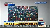“今日江苏”大型摄影展 明日对外开放-6月28日