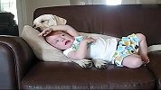 别惹小孩6-狗狗与宝宝竟能和谐如此