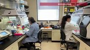 汉坦病毒阳性乘客登上邮轮前一天，中国乘客下船离开：已向防疫部门报备并在家隔离
