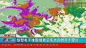 新型电子地图细致呈现大自然万千变化