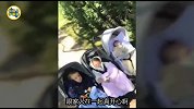 C罗自拍晒娃温情满满 携手乔治娜欢度家庭时光