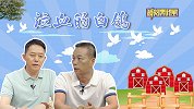 《谈事说理》之泣血的白鸽