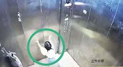 3岁女童独自乘电梯找家长时坠亡 监控拍下她最后求助画面