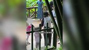 男子拍照遭女孩撞飞相机，找家长理论遭反怼：你应该给孩子道歉！