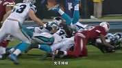 NFL-1415赛季-季后赛-外卡赛-亚利桑那红雀16：27卡罗莱纳黑豹-精华
