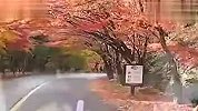 旅游-韩国内藏山赏枫-旅游视频