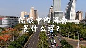 开展自由贸易港后的海南是什么样？带你走进海南24时，领略海南