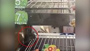 深圳一便利店熟食柜内老鼠乱窜 店家 回应：已停业并调查