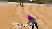 重庆一镇政府和学校晒满稻谷，当地：随时来晒，还提供纳凉点和水