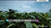 明星带我们游世界