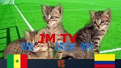 小猫预测：塞内加尔将战胜哥伦比亚晋级16强
