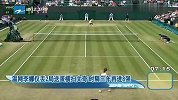 温网-13年-浙江卫视：李娜丢2局送蛋横扫文奇时隔三年进8强-新闻