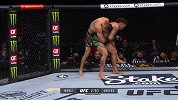 UFC269副赛：安德烈-穆尼兹VS埃瑞克-安德斯