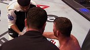 UFC-16年-UFC199倒计时：全景录回顾比斯平伦敦战蜘蛛-专题